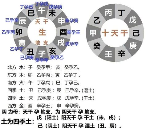 乙木 庚金|十干精粹——乙木（四）